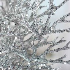 silver glittered branches against a white background