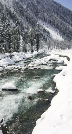 a river running through a snow covered forest next to a mountain side with lots of trees