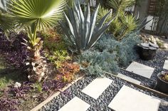 an image of a garden setting in the day time hours lapse to be viewed from above