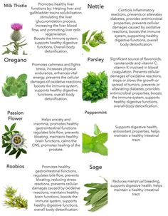 Benefits Of Sage, Sage Benefits, Natural Healing, Healing, Nature