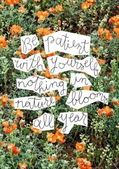 some flowers that are in the grass with signs on them saying be patient with yourself nothing i'm nature blooms all year