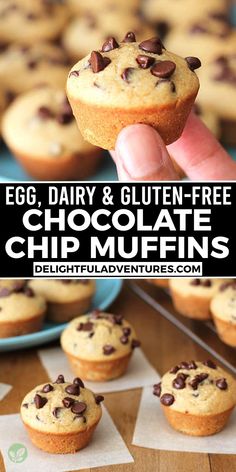 egg, dairy and gluten - free chocolate chip muffins are the perfect breakfast treat