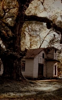 an old house in the middle of a field with trees and grass on both sides