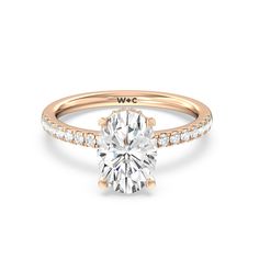 https://embed.imajize.com/5026428 Hidden Halo Engagement Ring, Pave Diamond Band, Halo Design, Simple Diamonds, Gorgeous Engagement Ring, Pave Band, Stunning Engagement Ring, Cushion Cut Diamonds, Diamond Settings