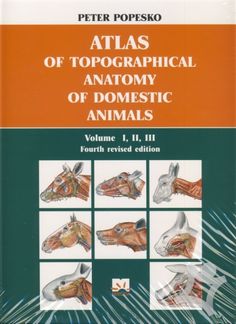 atlas of topography and anatomy of domestic animals