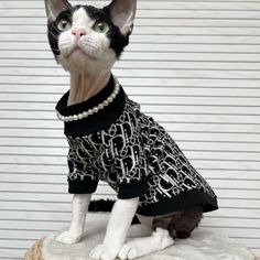 a black and white cat wearing a sweater