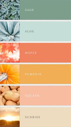 the color scheme for autumn and fall