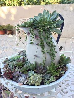 a white vase filled with lots of succulents on top of a table