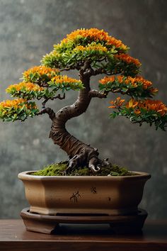 Bonsai impresionista 0 Bonsai Inspiration, Image Prompts, Tree Model, Trees To Plant, Roses