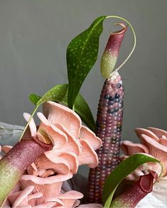 an arrangement of pink flowers and green leaves