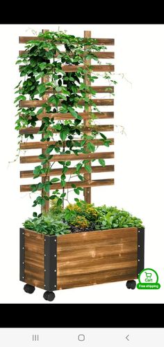 a wooden planter filled with lots of green plants