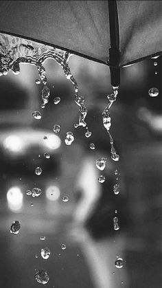 black and white photograph of raindrops on an umbrella