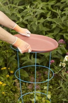 a person in white gloves holding a pink plate on top of a blue metal stand