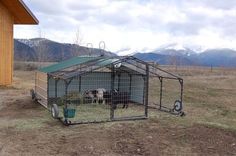 two animals are in their caged area near a building with mountains in the background