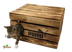 a cat climbing into a wooden box with the word puma on it's side