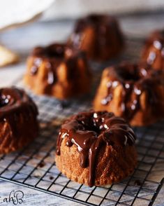 chocolate frosted bundt cakes cooling on a wire rack, ready to be eaten