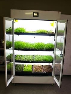 a refrigerator filled with lots of green plants