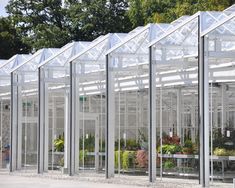 a row of greenhouses filled with lots of plants