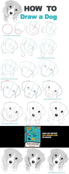 how to draw a dog step by step instructions for children and adults with pictures on it