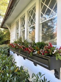 two windows with plants in them on the side of a house