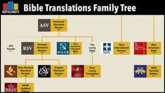 a family tree is shown with many different colors and logos on it's sides