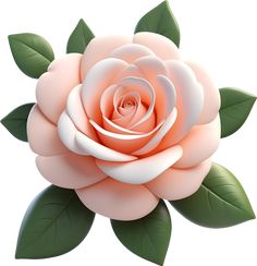 a pink rose with green leaves on a white background