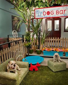 two dogs laying on their beds in front of a dog bar sign and potted plants