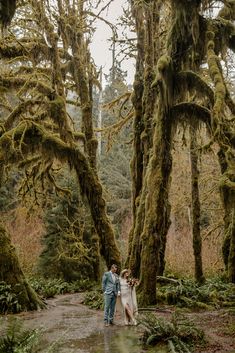 a man and woman standing in the middle of a forest surrounded by mossy trees