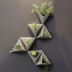 three cement planters with succulents and plants in them on a wall