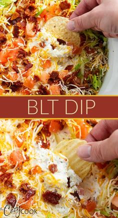 Easy Finger Food, Blt Dip, Best Appetizer, Best Appetizer Recipes