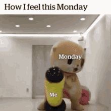 a teddy bear holding a cup with the words monday me on it in front of an empty room