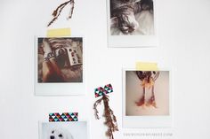 several polaroid pictures hang on the wall next to a dog's head and feet