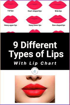 9 Different Types of Lips, their Shapes and Sizes (with Lip Chart)\nThere are 9 different types of lips based on shape and size. These include full lips, heart-shaped lips, wide lips, thin lips, round lips, and more. Read more details.\n Lip Chart, Types Of Lips Shape, Round Lips, Types Of Lips, Wide Lips, Different Nose Shapes, Heart Shaped Lips, Lip Types, Cleaning Your Ears