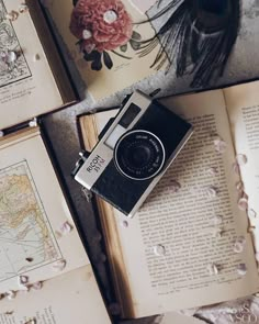 an old camera sitting on top of an open book next to flowers and other books