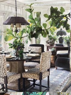 a dining room table with chairs and plants in the center, surrounded by potted greenery