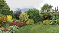 a lush green lawn surrounded by trees and shrubs