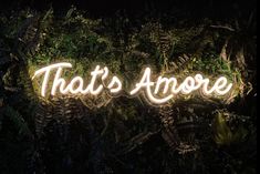 the words that's amore are lit up in front of some plants and trees