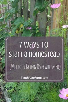 Many people want to start homesteading or gardening but don't know how to start or how to fit it into their schedule. After all, regular everyday life is busy enough. These resources will help guide you through the process of getting started, busting through doubt and discomfort, and achieving your dreams. Start A Homestead, Home Steading, Homesteading Diy, Homestead Life, Homestead Ideas