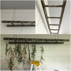 some plants are hanging on the side of a wall with ladders attached to it