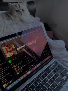 a cat laying on top of a laptop computer