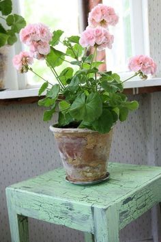 a potted plant sitting on top of a green table next to a window with pink flowers