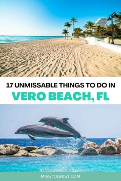 two dolphins jumping out of the water and on top of rocks with text overlay that reads 17 unmissable things to do in vero beach, fl