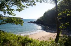 a sandy beach surrounded by trees and water