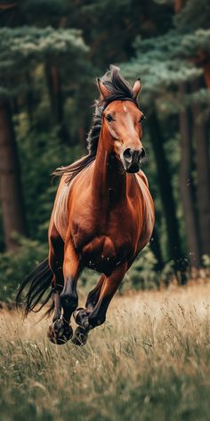 a brown horse running through the grass in front of some trees and tall grass,