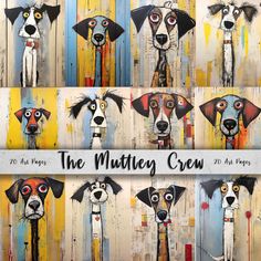 four pictures of dogs with different colored eyes and the words, the muttley crew