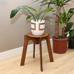 a potted plant sitting on top of a wooden stool