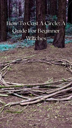 a circle made out of branches in the woods with text overlay how to get a circle a guide for beginner witches