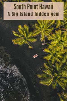 an aerial view of palm trees and the ocean with text that reads south point hawaii a big island hidden gems