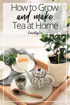 a tray with tea and plants on it