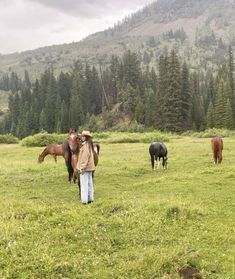 a person standing in a field with horses